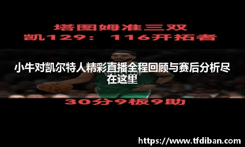 小牛对凯尔特人精彩直播全程回顾与赛后分析尽在这里